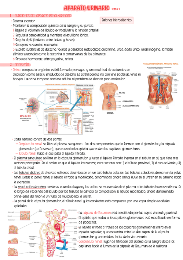 Tema-9.pdf