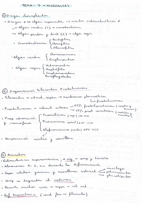 Esquema-preguntas-examen-BLOQUE-3.pdf