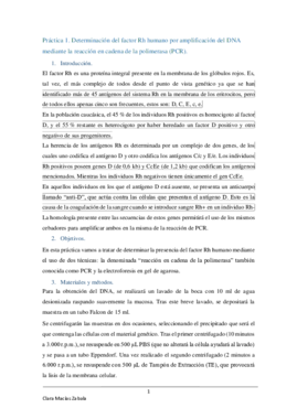 InformeFinal96.pdf