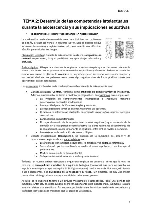 TEMA-2.pdf