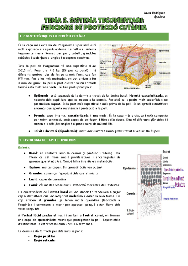 Apunts-tema-5-FCH-I.pdf
