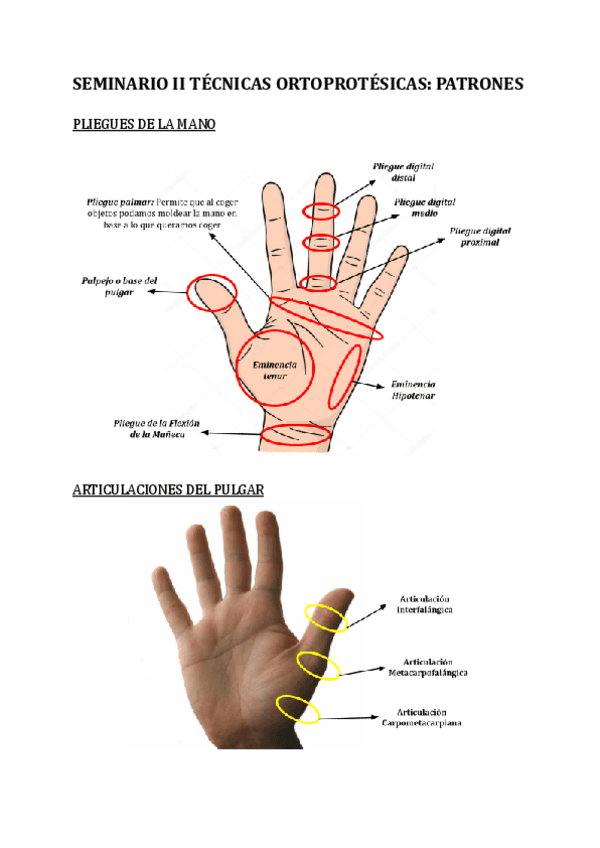 SEMINARIO-II-TECNICAS-ORTOPROTESICAS-PATRONES-1.pdf