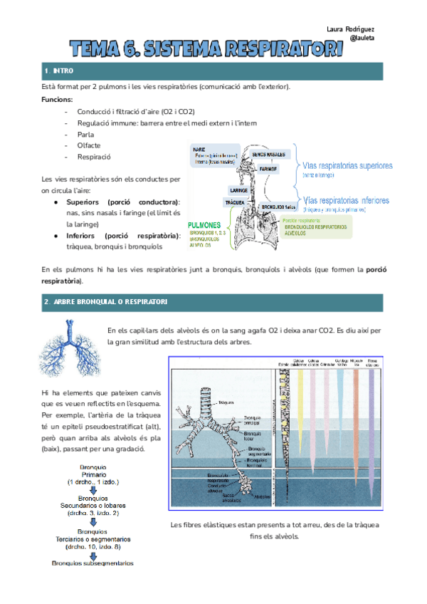 Tema-6-Histologia.pdf