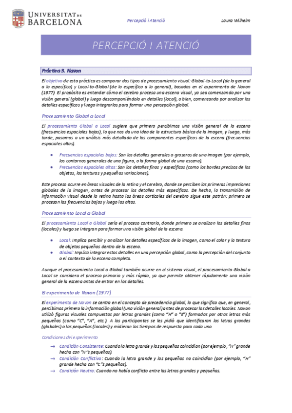 Practica-3-Experimento-de-Navon.pdf