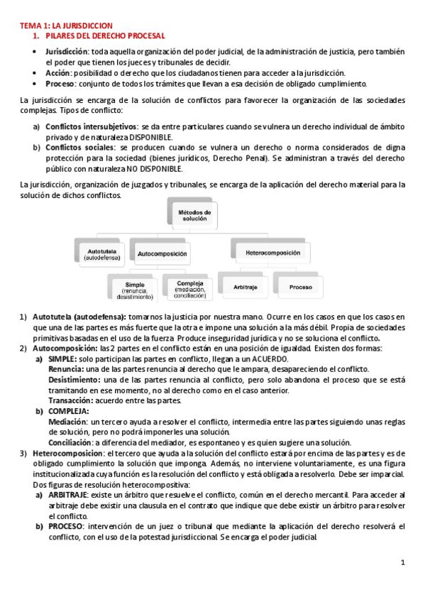 APUNTES-DERECHO-PROCESAL.pdf