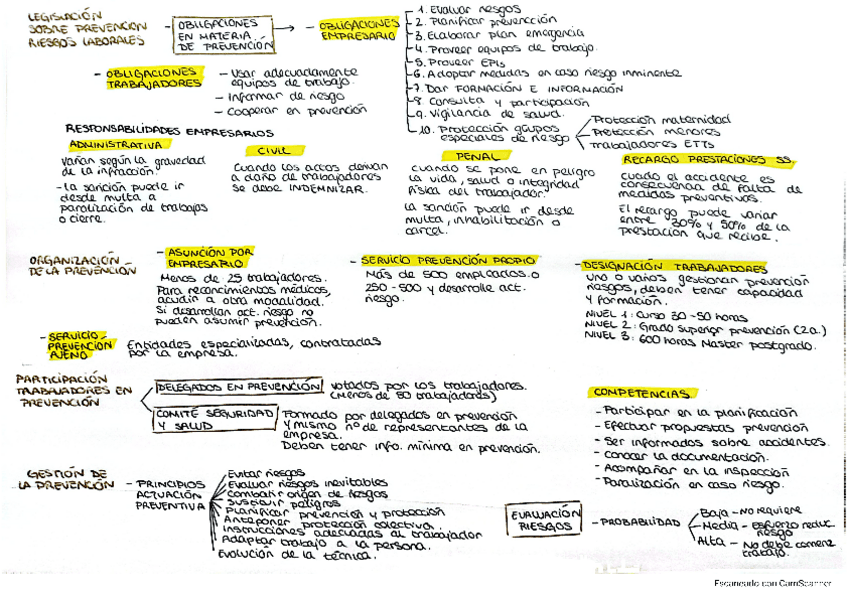 Prevencion-de-riesgos-organizacion.pdf