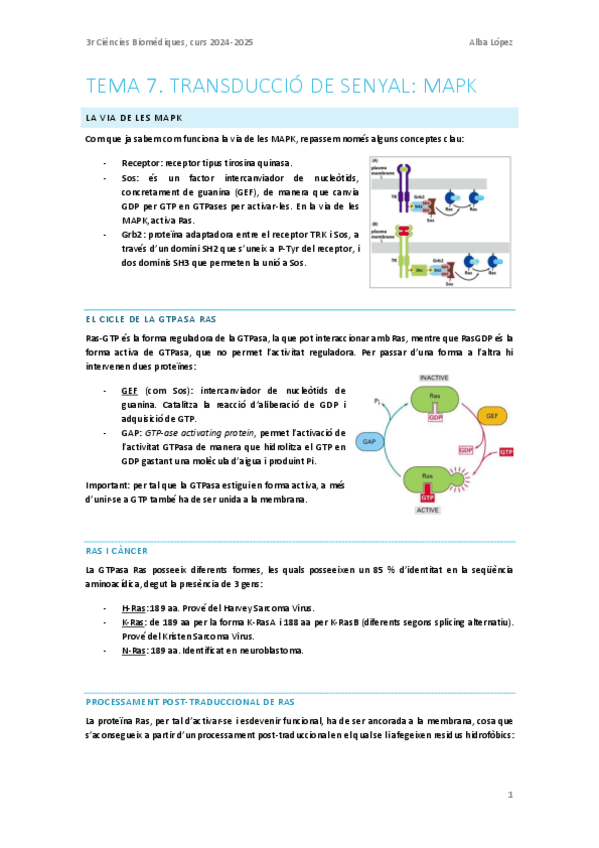 Tema-7.-Transduccio-de-senyal-MAPK.pdf