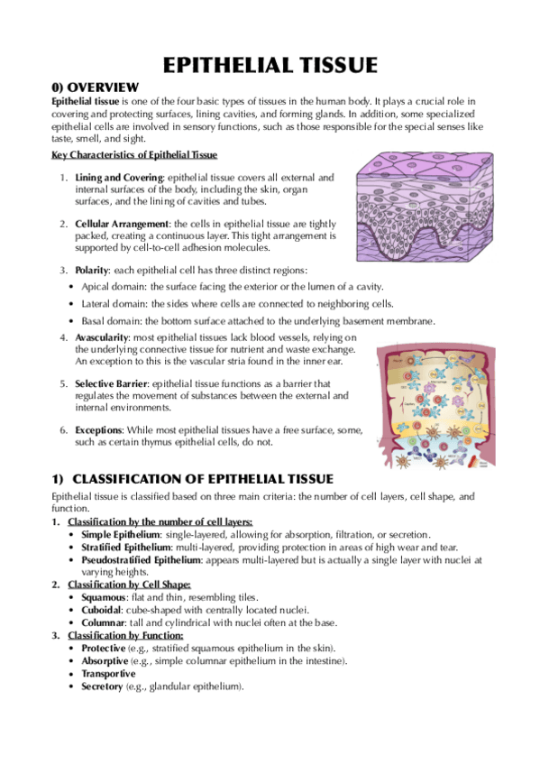 EPITHELIAL-TISSUE-I.pdf