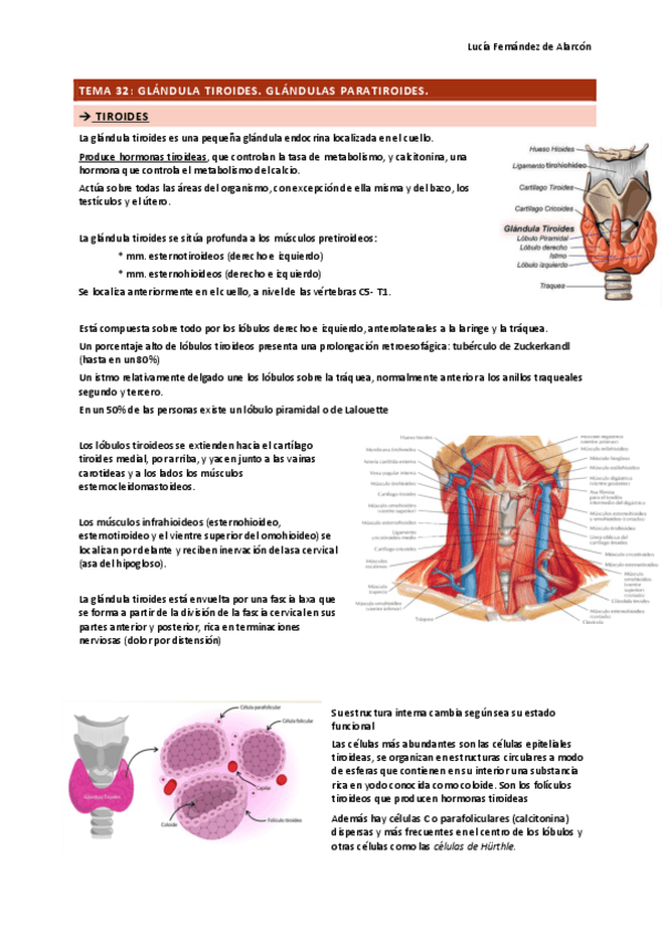 tema-32-33-34-y-35.pdf