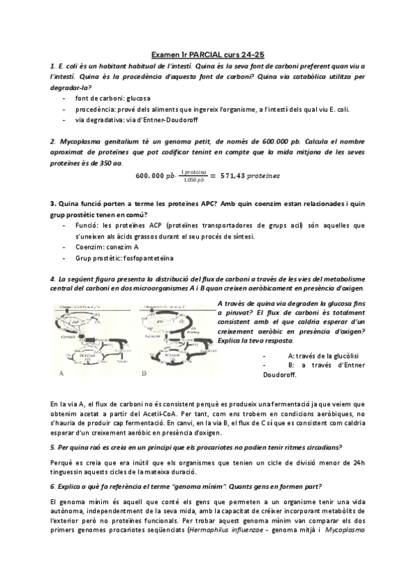 Examen-1r-PARCIAL-curs-24-25.pdf