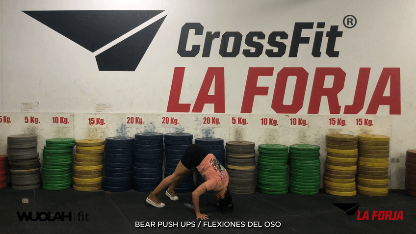 Flexiones de Oso.mp4
