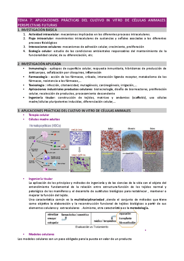 Tema-7.pdf