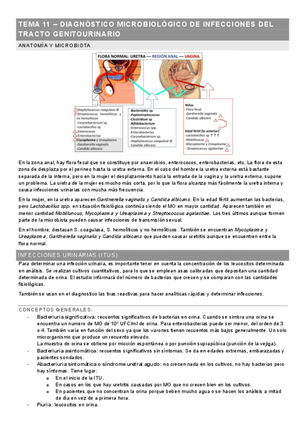METODOS-DE-DIAGNOSTICO-TEMA-11.pdf