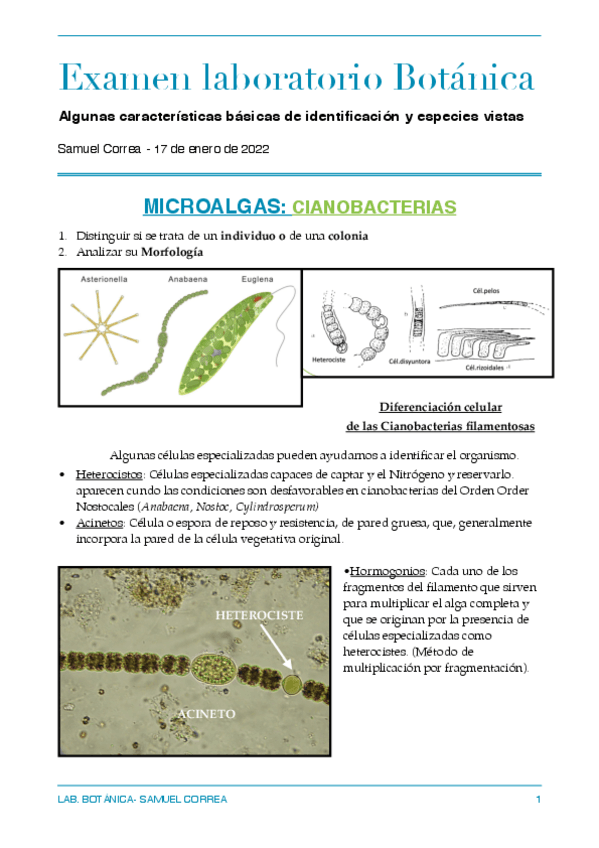 GuiaPracticasBotanica.pdf
