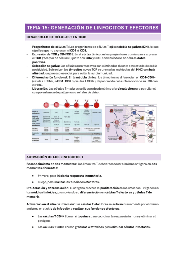 TEMA-15-GENERACION-DE-LINFOCITOS-T-EFECTORES.pdf