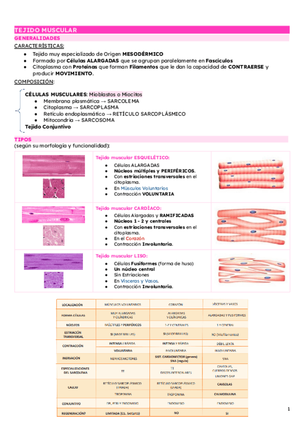 TEJIDO-MUSCULAR.pdf