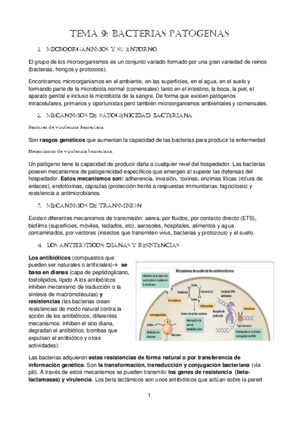 tema-9.-Bacterias-patogenas.pdf