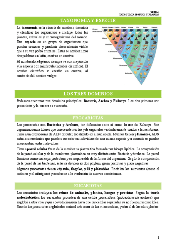 tema-4-CIENCIAS.pdf