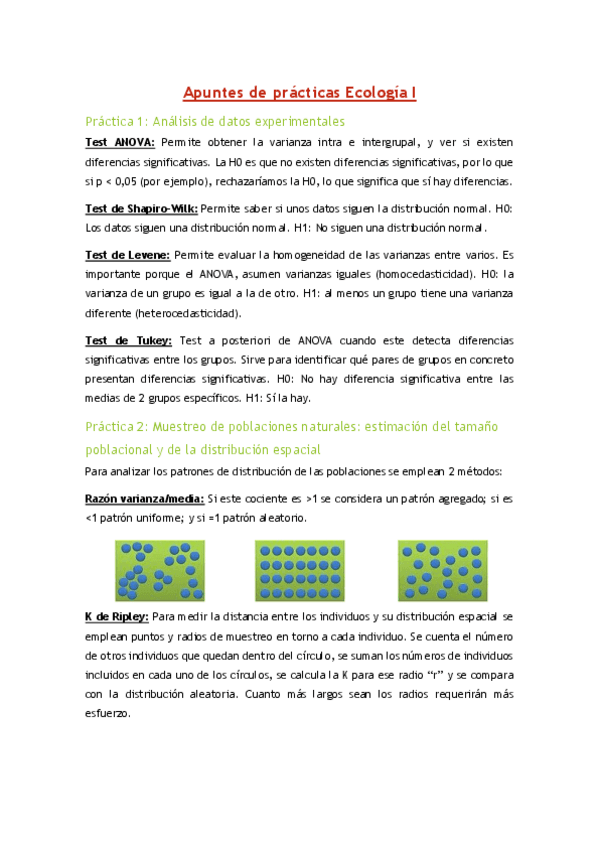 Apuntes-practicas.pdf