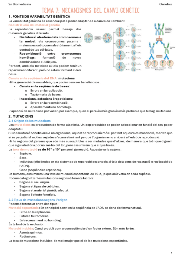 T7-Mecanismes-del-canvi-genetic.pdf