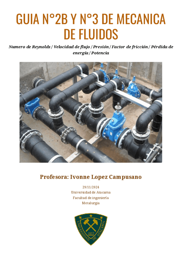 GUIA-N2B-Y-N3-DE-MECANICA-DE-FLUIDOS-NUMERO-DE-REYNOLDS-VELOCIDAD-DE-FLUJO-PRESION-FACTOR-DE-FRICCION-PERDIDA-DE-ENERGIA-POTENCIA.pdf