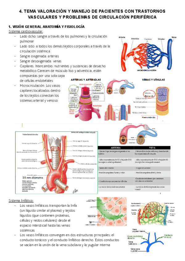TEMA-4VALORACION-Y-MANEJO-DE-PACIENTES-CON-TRASTORNOS-VASCULARES-Y-PROBLEMAS-DE-CIRCULACION-PERIFERICA.pdf