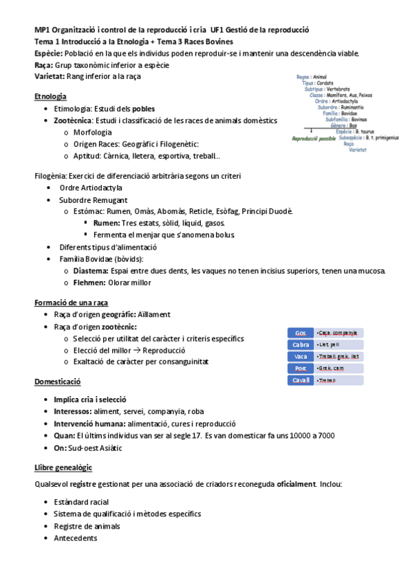 Introduccio-Etnologia-Vaques.pdf