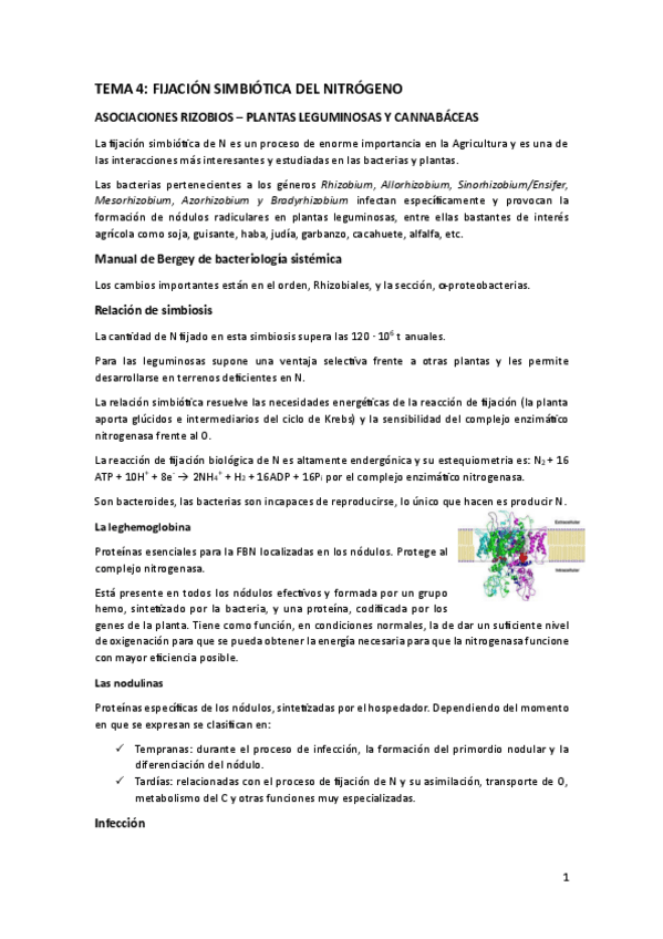 TEMA-4-TEMA-5.pdf