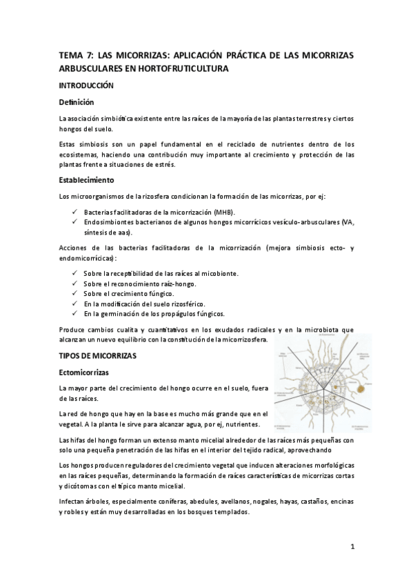 TEMA-7.pdf