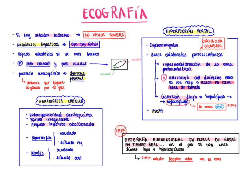 Ecografia.pdf