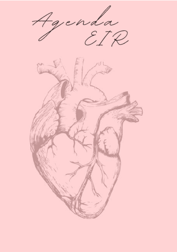 AGENDA-EIR-simulacros-y-vueltas.pdf