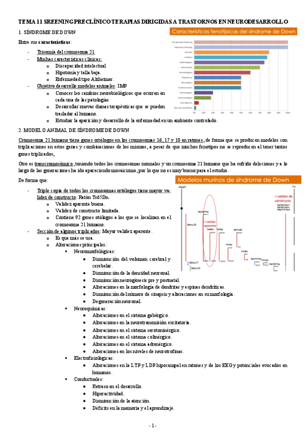 FARMACOLOGIA-TEMA-11-SREENING-PRECLINICO-TERAPIAS-DIRIGIDAS-A-TRASTORNOS-EN-NEURODESARROLLO.pdf