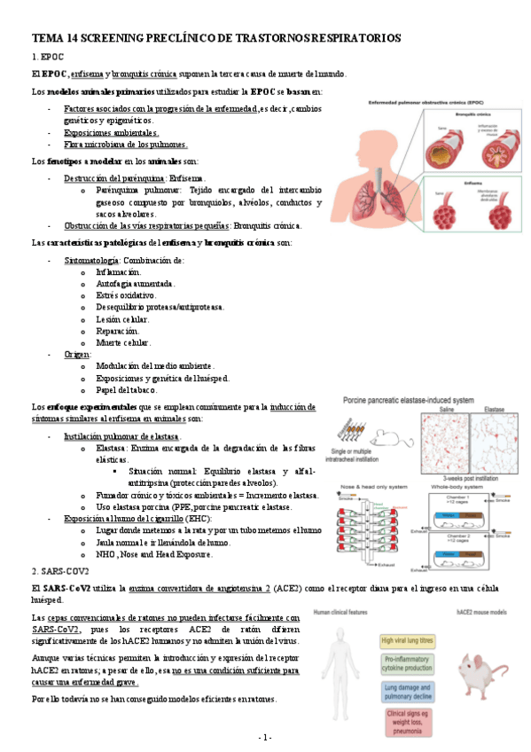 FARMACOLOGIA-TEMA-14-SCREENING-PRECLINICO-DE-TRASTORNOS-RESPIRATORIOS.pdf