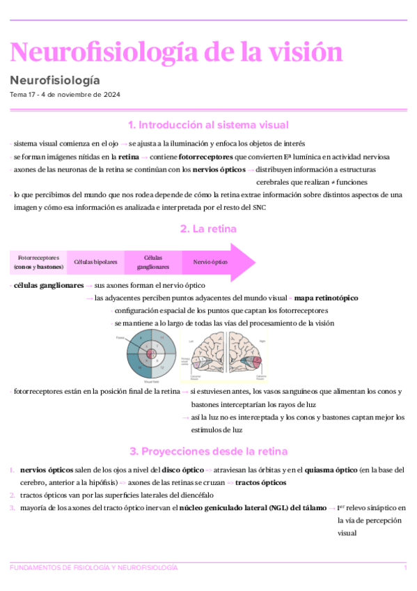 Tema-17.-Neurofisiologia-de-la-vision.pdf