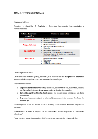 TEMA 2 TÉCNICAS COGNITIVAS.pdf