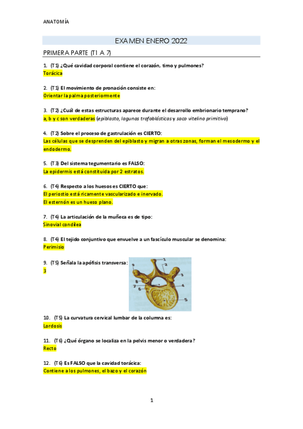 Examen-enero-anatomia-2022.pdf