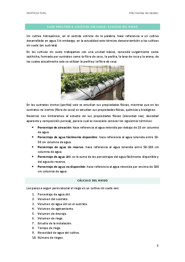 Caso-Practico-4Cultivos-sin-sueloRiego.pdf