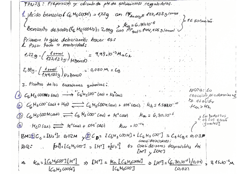 Trabajo-practico-N3-Preparacion-y-calculo-de-pH-de-soluciones-reguladoras.pdf