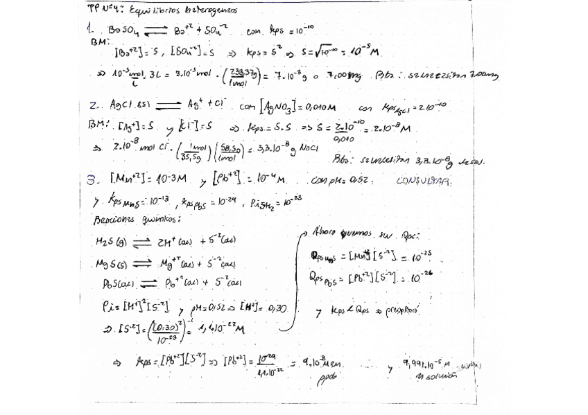 Trabajo-practico-N4-Equilibrio-heterogeneo.pdf