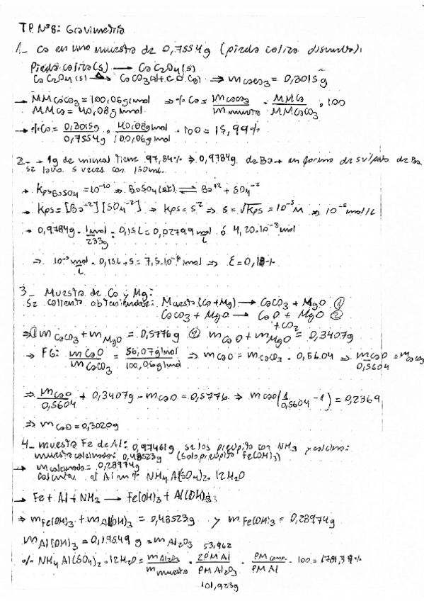 Trabajo-practico-N8-Gravimetria.pdf