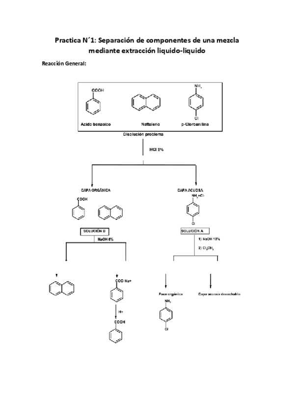 EntregaPracticasOrganica.pdf