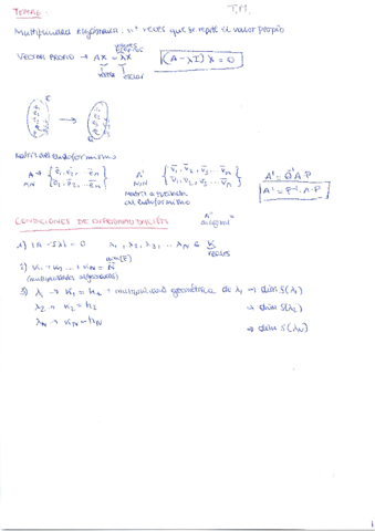 Algebra Tema 6.pdf