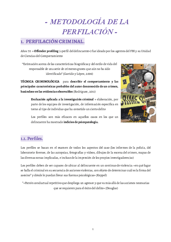 6-Metodologia-de-la-perfilacion..pdf