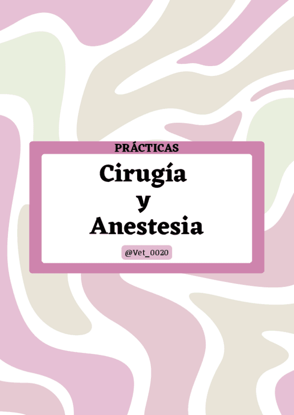 Prácticas cirugía y anestesia (examen).pdf