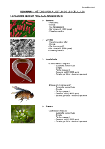 Seminari 1 Biologia Cel·lular. Microscopia.pdf