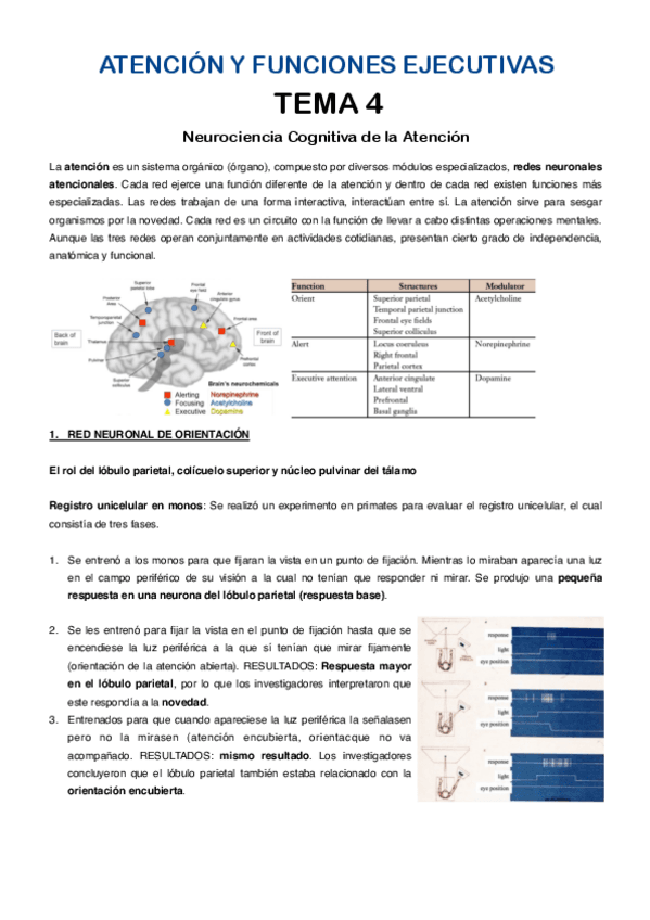 Atencion-tema-4.pdf