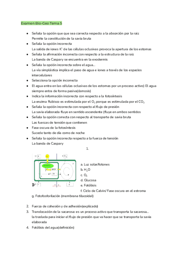 Correccion-examen-Bio-tema-5.pdf