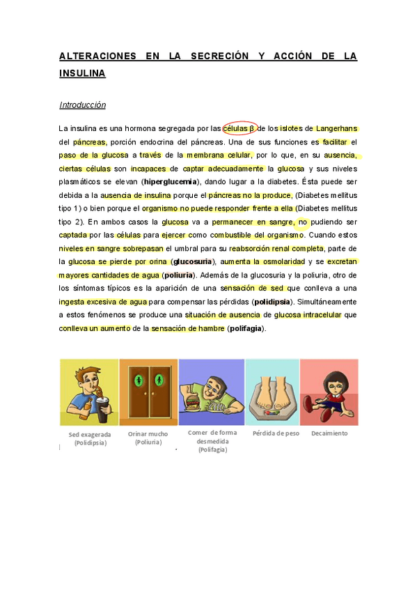 Guion-diabetes-resuelto.pdf