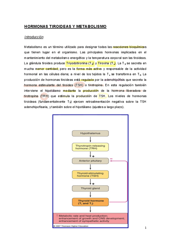 Guion-tiroides-resuelto.pdf