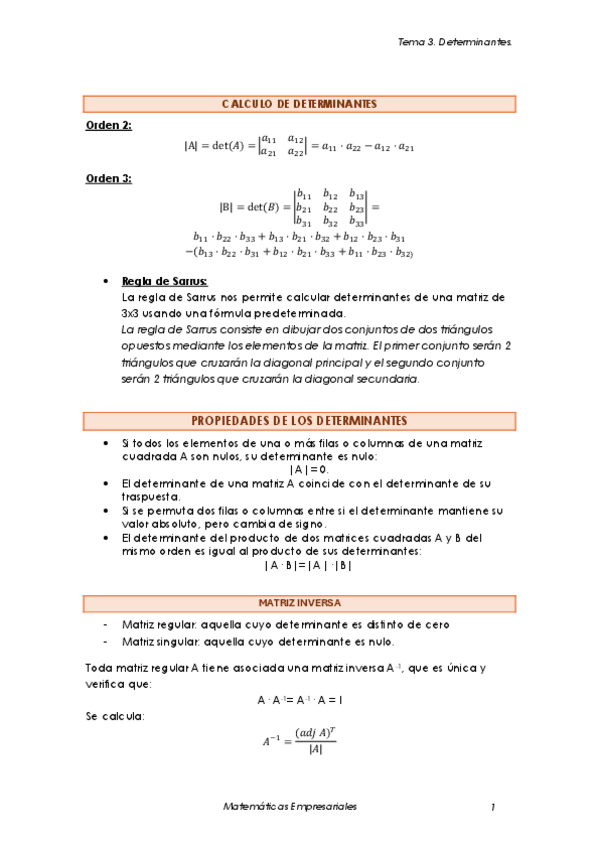 Tema-3.-Determinantes.pdf